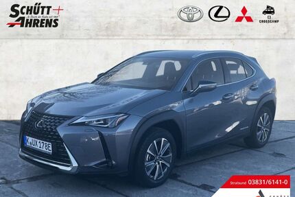 Lexus UX Gebrauchtwagen