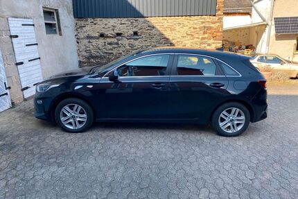 Kia ceed / Ceed Gebrauchtwagen