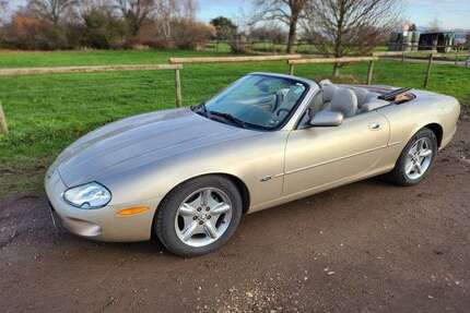 Jaguar XK8 Gebrauchtwagen