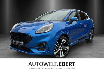 Ford Puma Gebrauchtwagen