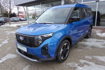 Ford Tourneo Courier Gebrauchtwagen