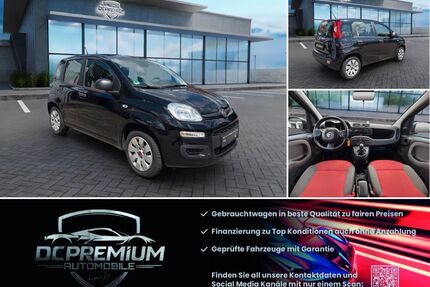 Fiat Panda Gebrauchtwagen