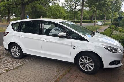 Ford S-Max Gebrauchtwagen