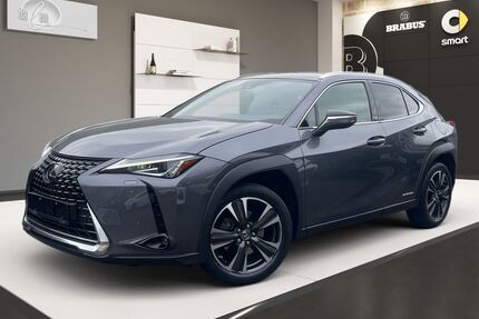 Lexus UX Gebrauchtwagen