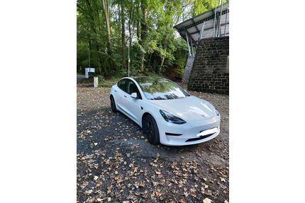 Tesla Model 3 Gebrauchtwagen