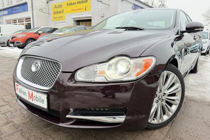 Jaguar XF Gebrauchtwagen