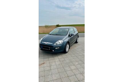 Fiat Punto Gebrauchtwagen