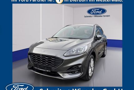 Ford Kuga Gebrauchtwagen