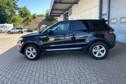 Land Rover Range Rover Evoque Gebrauchtwagen