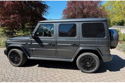 Mercedes-Benz G 450 Gebrauchtwagen