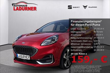 Ford Puma Gebrauchtwagen
