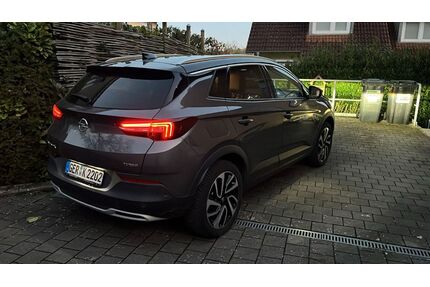 Opel Grandland (X) Gebrauchtwagen