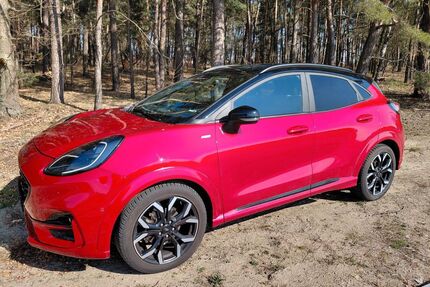 Ford Puma Gebrauchtwagen