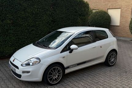 Fiat Punto Gebrauchtwagen