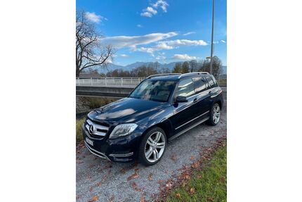 Mercedes-Benz GLK 220 Gebrauchtwagen