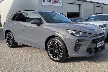 Cupra Terramar Gebrauchtwagen