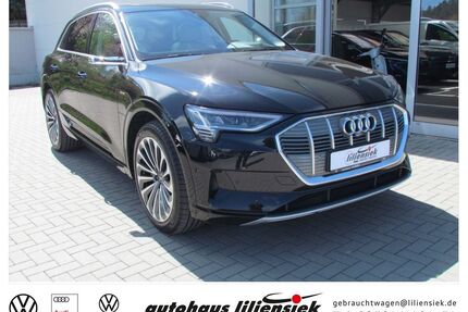 Audi e-tron Gebrauchtwagen