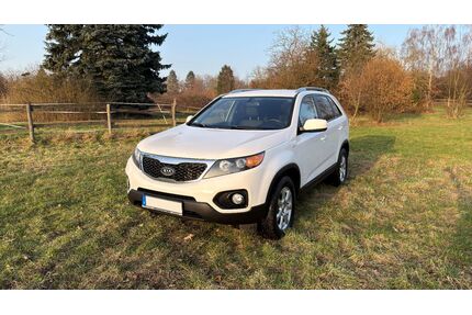 Kia Sorento Gebrauchtwagen