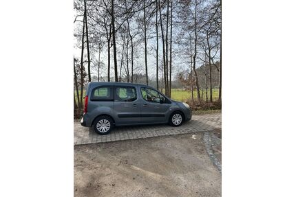 Citroen Berlingo Gebrauchtwagen