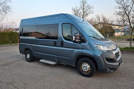 Fiat Ducato Gebrauchtwagen