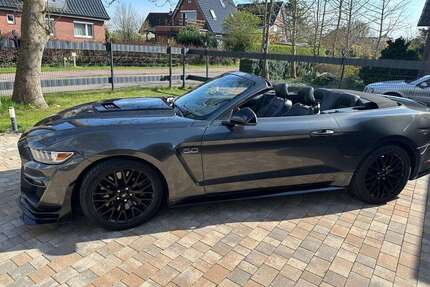 Ford Mustang Gebrauchtwagen