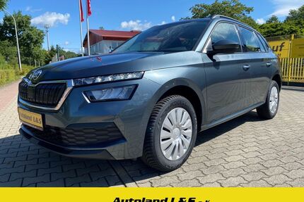 Skoda Kamiq Gebrauchtwagen