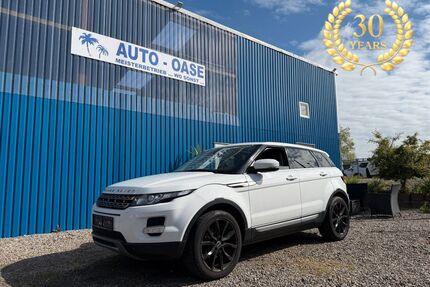 Land Rover Range Rover Evoque Gebrauchtwagen