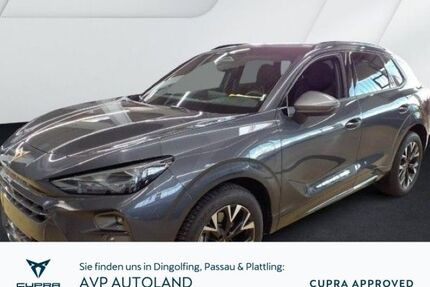Cupra Terramar Gebrauchtwagen