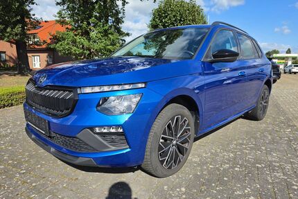 Skoda Kamiq Gebrauchtwagen