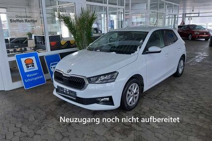 Skoda Fabia Gebrauchtwagen