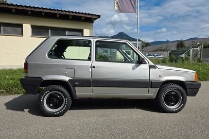 Fiat Panda Gebrauchtwagen