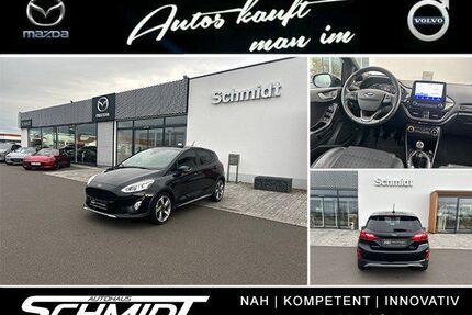 Ford Fiesta Gebrauchtwagen