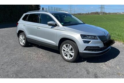 Skoda Karoq Gebrauchtwagen