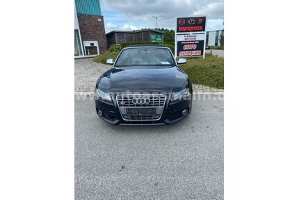 Audi S5 Gebrauchtwagen