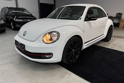 VW Beetle Gebrauchtwagen