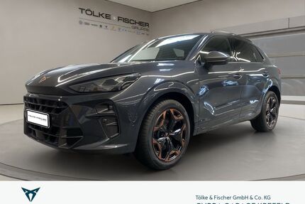 Cupra Terramar Gebrauchtwagen