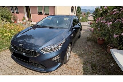 Kia ceed / Ceed Gebrauchtwagen