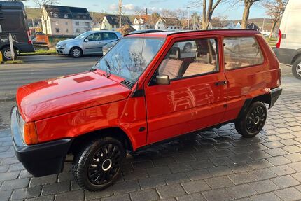 Fiat Panda Gebrauchtwagen