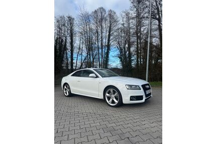 Audi A5 Gebrauchtwagen