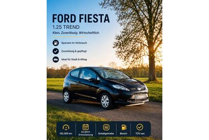Ford Fiesta Gebrauchtwagen