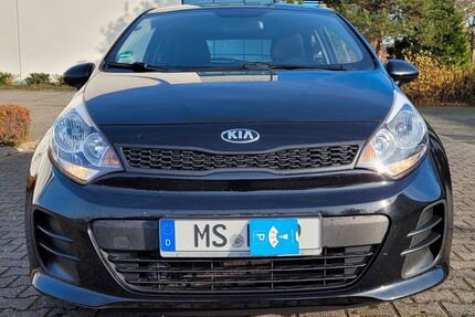 Kia Rio Gebrauchtwagen