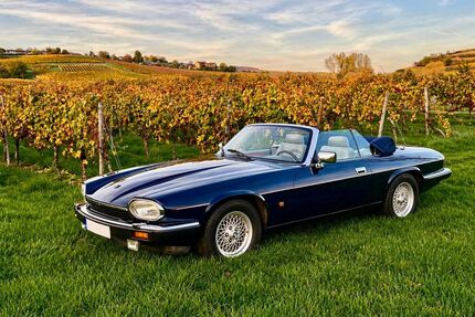 Jaguar XJS Gebrauchtwagen