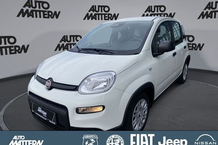 Fiat Panda Gebrauchtwagen