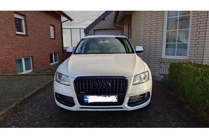 Audi Q5 Gebrauchtwagen