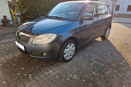 Skoda Fabia Gebrauchtwagen