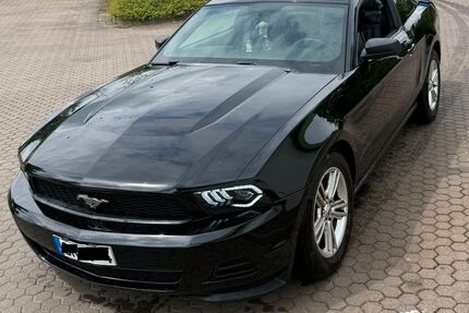 Ford Mustang Gebrauchtwagen