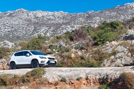 Seat Ateca Gebrauchtwagen