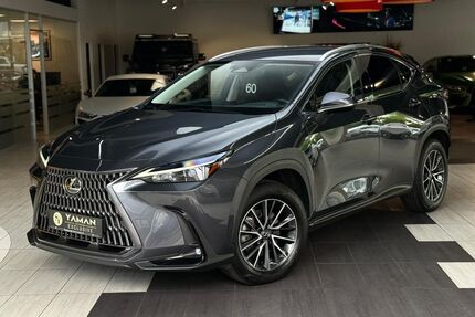 Lexus NX 350h Gebrauchtwagen