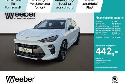 Cupra Terramar Gebrauchtwagen