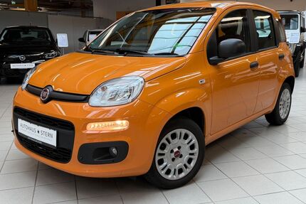 Fiat Panda Gebrauchtwagen